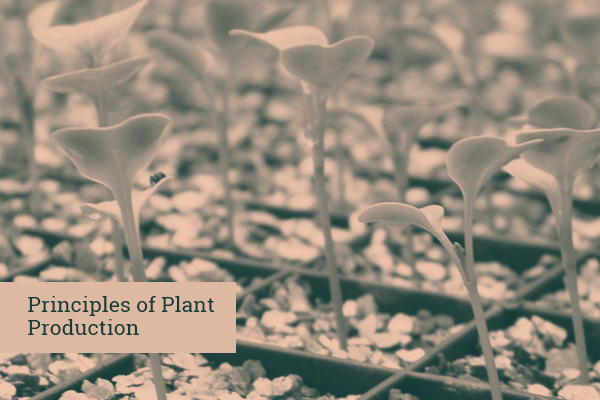Principles of Plant Production